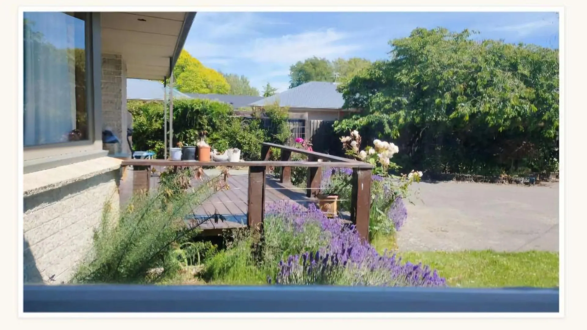Homestay Floral Harmony House Apartment Christchurch New Zealand